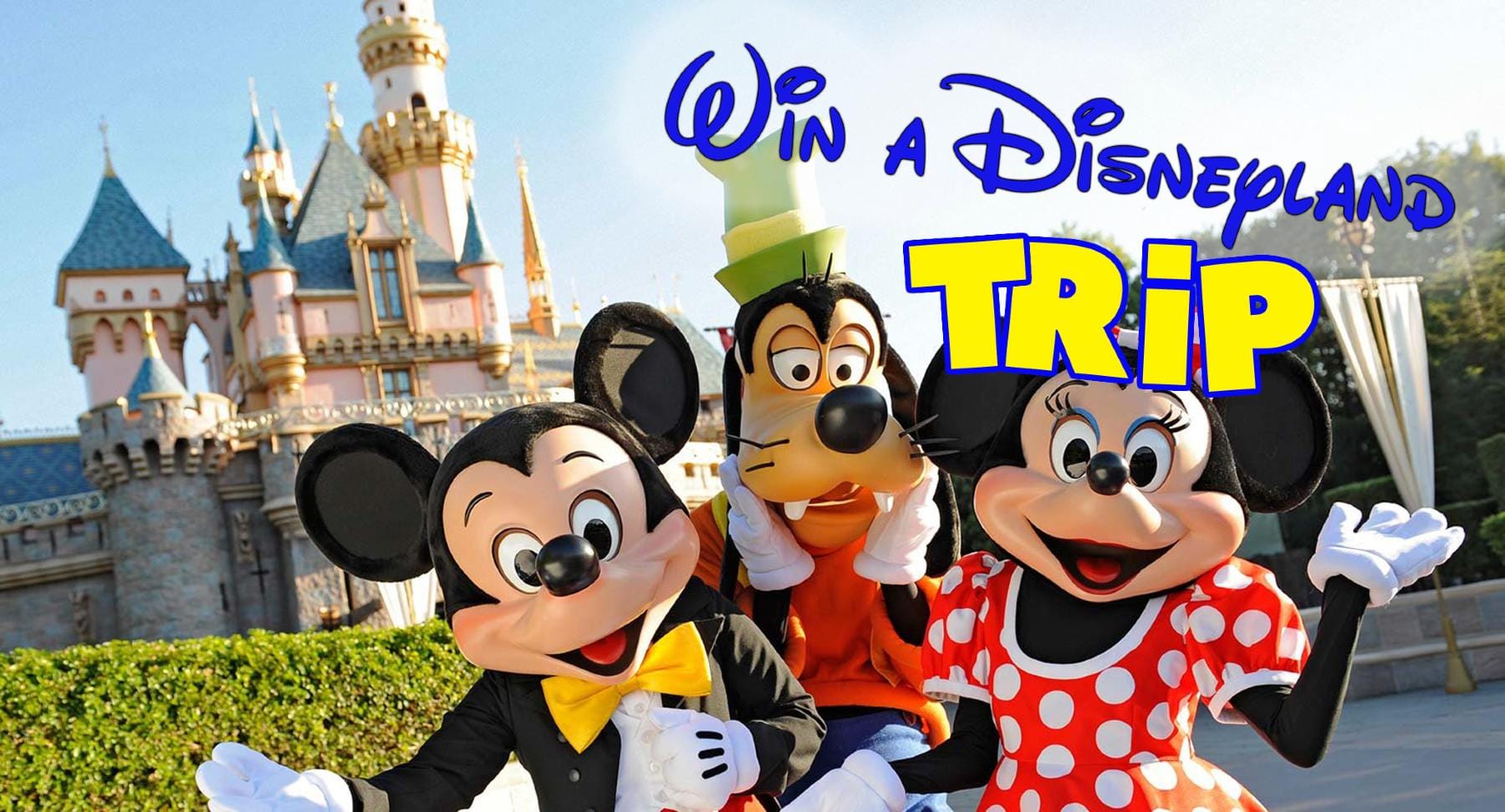 Disneyland-Banner-2-1